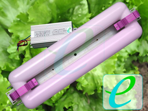 Фитолампа индукционная Юпитер 100 W+Эпра (FLORA)Фитолампа индукционная Юпитер 100 W+Эпра (FLORA)
