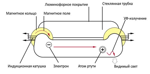 Фитолампа индукционная Юпитер 300 W+Эпра (FLORA)Фитолампа индукционная Юпитер 300 W+Эпра (FLORA)